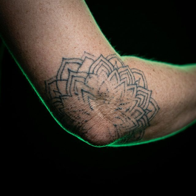 Flor de Loto Fragmentada